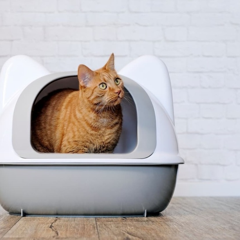 猫用トイレのおすすめ13選｜臭わない＆飛び散らない優秀トイレ多数！