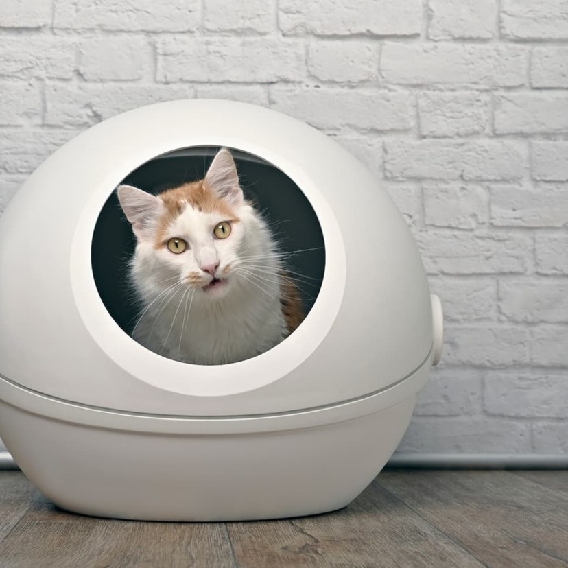 猫用の自動トイレおすすめ12選｜便利で機能的｜安全性の高い商品も！