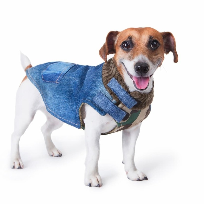 かわいいドッグウェアのおすすめ14選｜通販で購入できるおしゃれな犬服！