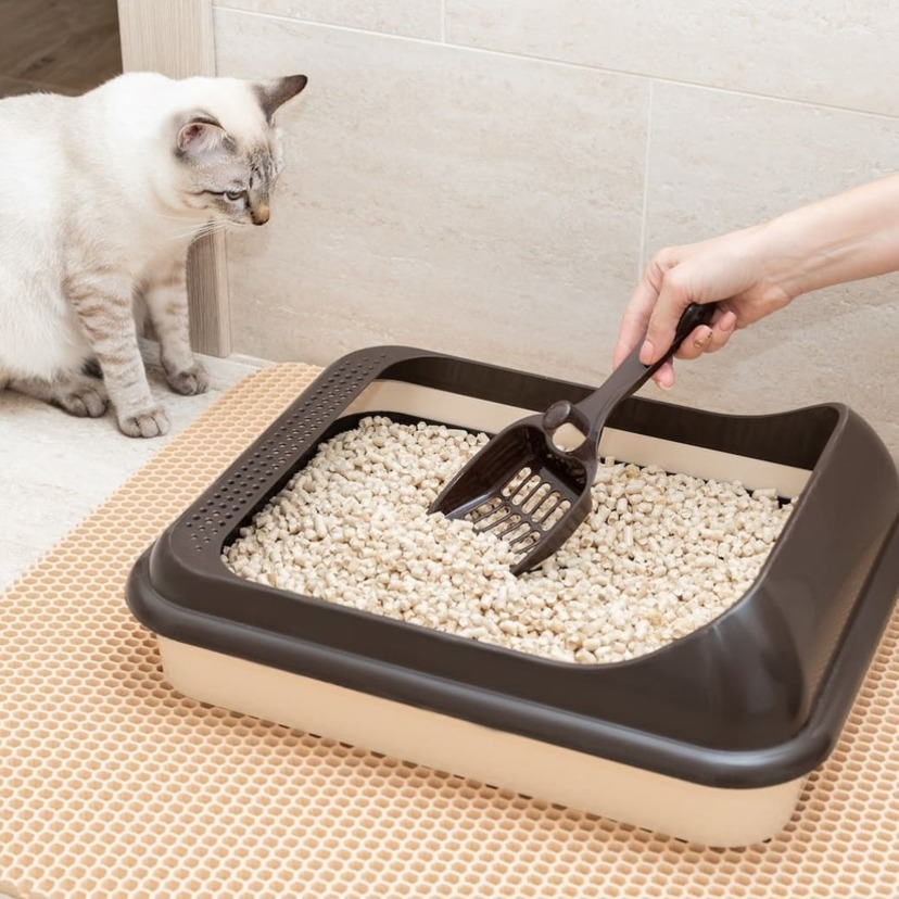 猫用トイレマットのおすすめ11選｜猫砂飛び散り防止・消臭抗菌など機能性も重視！