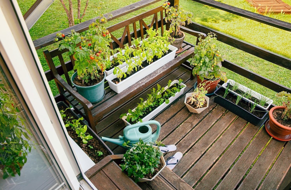 planting-of-various-herbs-and-