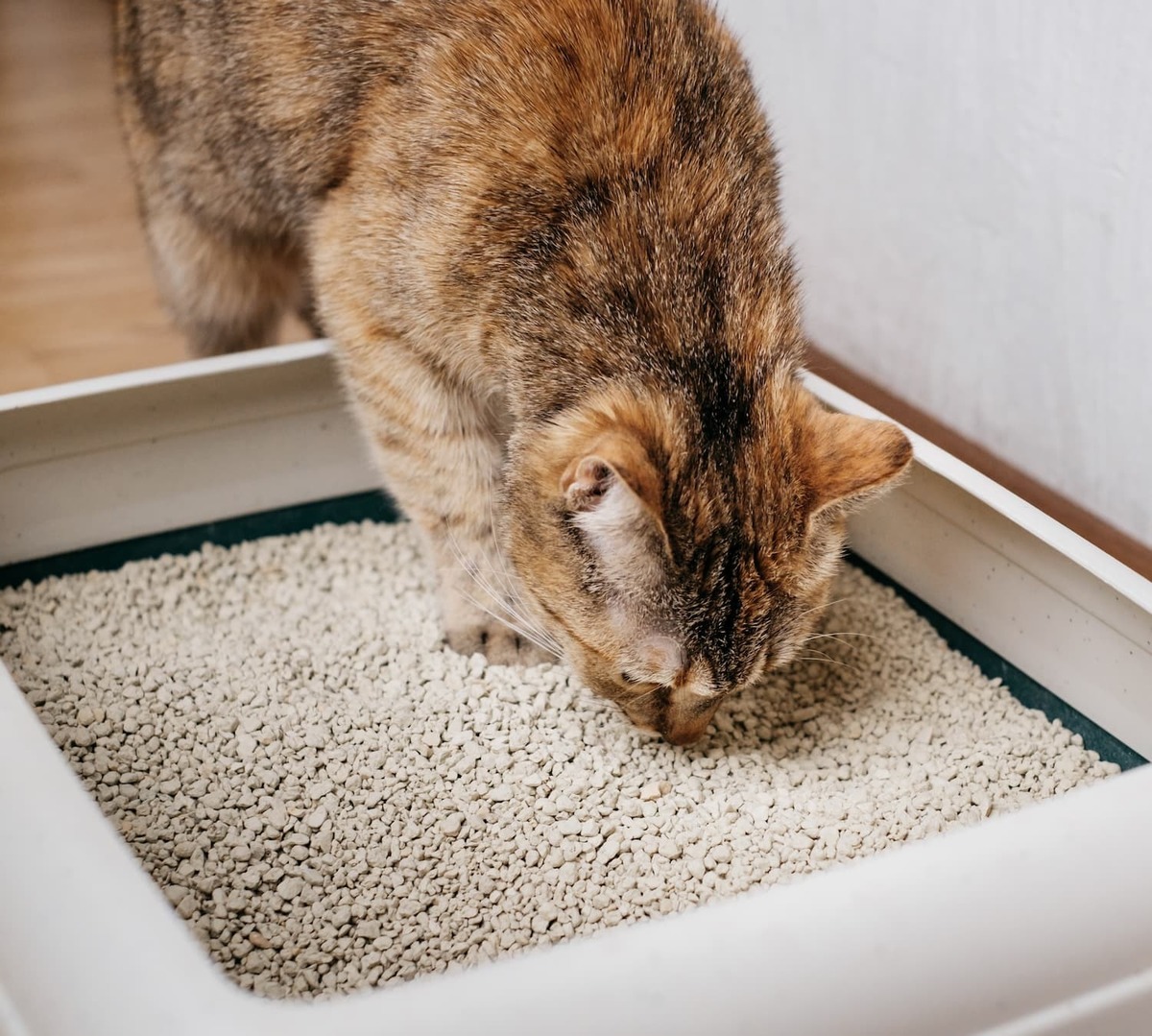 タイルカーペット猫美さん専用の商品 サンゲツ 大特価［各色10枚以上］タイルカーペット 50×50cm