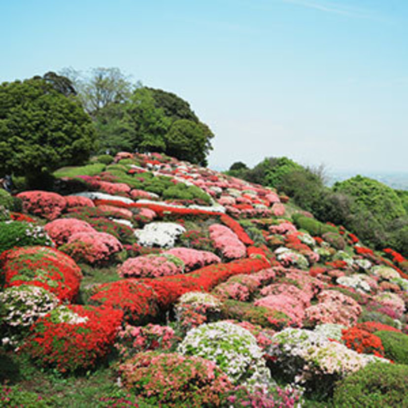 九州・山口 Monthly topics 今月の気になる話題 3/22〜