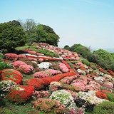 九州・山口 Monthly topics 今月の気になる話題 3/22〜