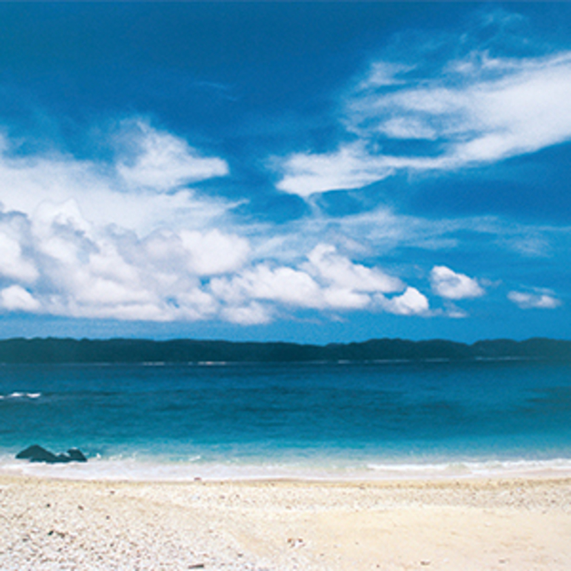 おとなの風物詩 とびきりの透明度、伊平屋島の海