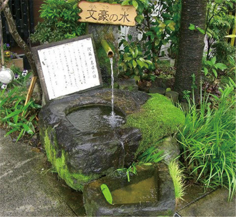 おとなの風物詩 水と桜の名所も点在する阿蘇 ぐらんざ