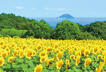 九州 山口 Monthly Topics 今月の気になる話題 7 ぐらんざ
